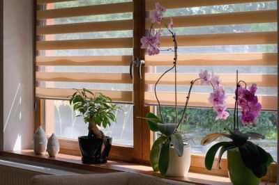 Indoor Shutters Installation in Boulder, CO