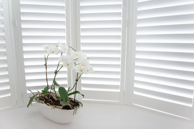 Louvered Shutters Installation in Denver County, CO