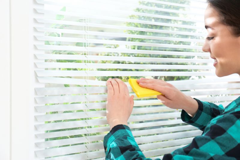 Vertical Blind Cleaning in Billings, MT